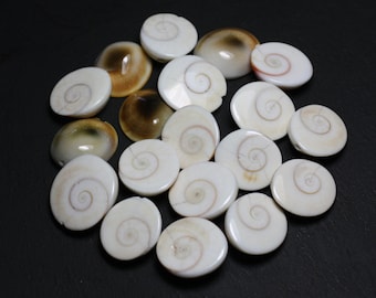 1pc - Perle Coquillage Oeil Sainte Lucie Shiva Grade B imperfections Ovale 18-22mm blanc beige spirale - 7427039743570