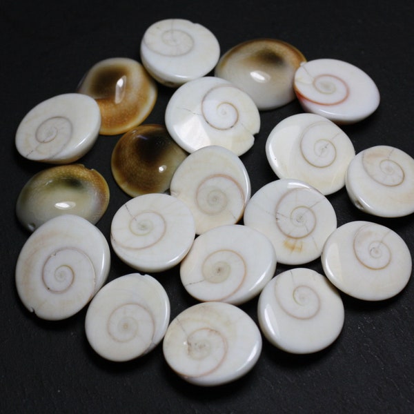 1pc - Saint Lucia Shiva Eye Shell Bead Grade B imperfections Oval 18-22mm white beige spiral - 7427039743570