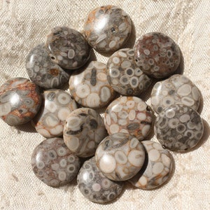 Può includere: Una collezione di 15 perline rotonde, piatte, grigie e marroni, in pietra fossilizzata con un motivo circolare bianco.