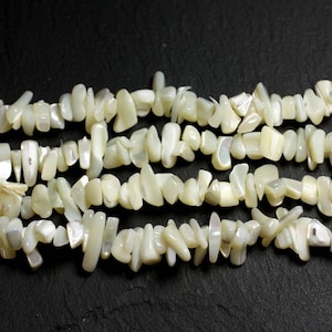 Può includere: Un filo di schegge di conchiglia bianca iridescente, anche conosciute come madreperla, disposte in fila su una superficie nera. Le schegge sono irregolari nella forma e nelle dimensioni, con un aspetto naturale e organico.