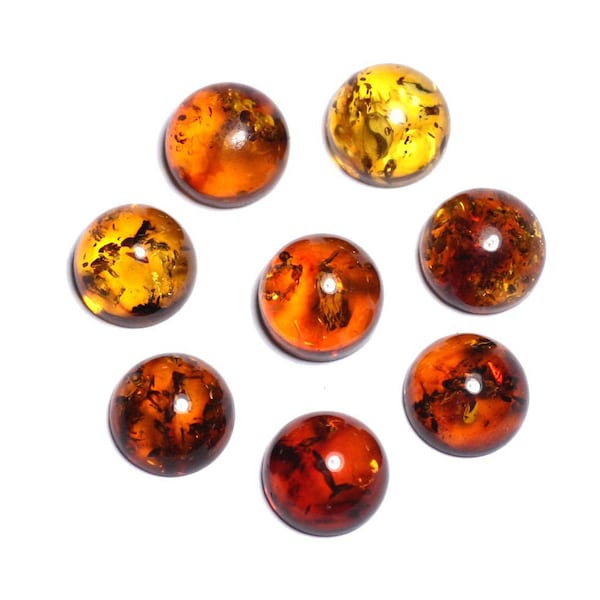Natural Baltic Amber Cabochons - 5mm Round, Set Of 24 Pieces, Brown, Heated, From Poland