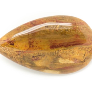 N19 - Cabochon de Pierre - Bois Fossile Goutte 34x27mm - 8741140006348