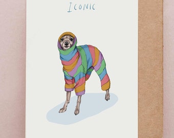 Carte emblématique lévrier italien, carte d'anniversaire drôle, cartes d'anniversaire Iggy, cartes chien rigolotes, jeux de mots, cartes d'anniversaire Whippet, cartes rigolotes