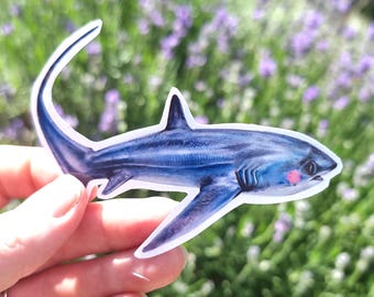 Vinylklistermärke med Thresher Shark - 10 x 7,5 cm - plannerklistermärken - havstema