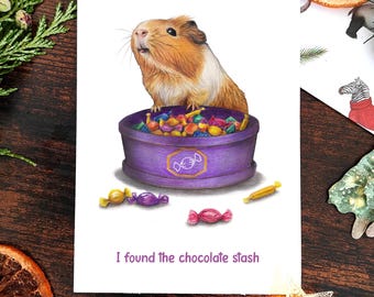 Christmas Chocolate Card | Cute Guinea Pig Card | Christmas Cards