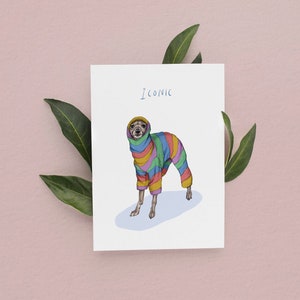 Iconic Italian Greyhound Card, Funny Birthday Card, Iggy Birthday cards, Funny Dog Cards, Pun Cards, Whippet Birthday Cards, Funny cards