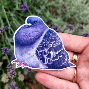 Fat Pigeon Vinyl Sticker - 3x2.5 inches