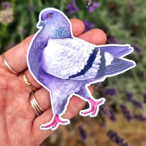 Strutting Pigeon Vinyl Sticker - 3.5 x 3.5 inches
