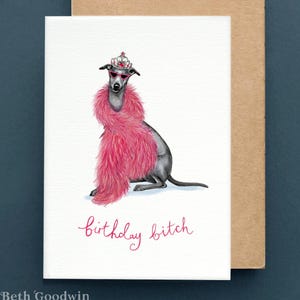 Lustige Geburtstagsbitch-Karte, lustige Geburtstagskarte, Iggy Geburtstagskarten, lustige Whippet-Karten, Wortspielkarten, Whippet Geburtstagsgeschenke,
