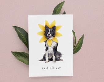 Collieflower Card, Border Collie Card, Funny Cards, Birthday Cards, Dog Cards