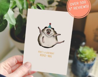 Hedgehog Birthday Card - Birthday Cards - Funny Cards