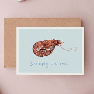 Shrimply the Best, Congratulations Cards, Anniversary Card, Graduation Card, funny Cards