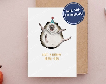 Hedgehog Birthday Card - Birthday Cards - Funny Cards