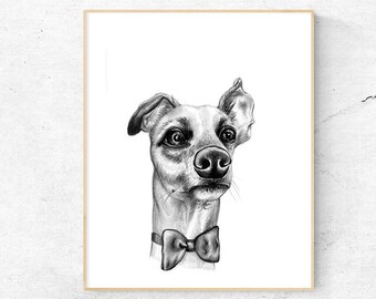 Whippet Art, Whippet Art Print, Greyhound Art, Whippet Print, Whippet Gifts, Whippet card, Greyhound Print, Whippet Bow Tie
