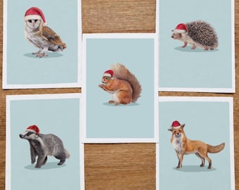 Hand Illustrated British Wildlife Christmas Card Set - A6, Set of 5