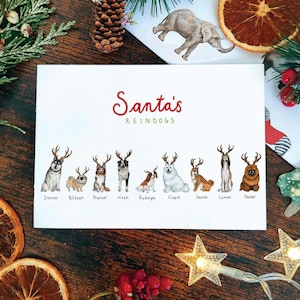 サンタのレインドッグスカード | クリスマスカード | レインドッグスのクリスマスカード | 犬のクリスマスカード | サモエドのクリスマスカード | キャバリア・キング・チャールズ