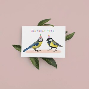 Funny Birthday Tits Card: Cheeky Bird Pun Card for Him, Plastic free packaging image 5