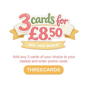 Funny Birthday Tits Card: Cheeky Bird Pun Card for Him, Plastic free packaging image 2