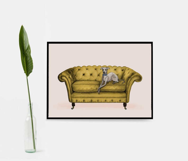 May include: A grey and white Italian Greyhound dog wearing a blue bow tie is lying on a yellow tufted sofa with wooden legs. The sofa is on a light pink background.
