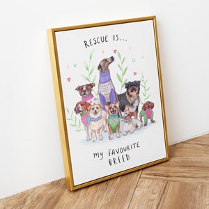 May include: A framed print with a watercolor illustration of a group of dogs wearing sweaters. The text "RESCUE IS... my FAVORITE BREED" is written below the dogs.