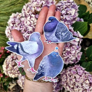 Set of 3 Pigeon Stickers - Glossy Vinyl