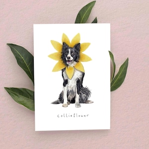 Collieflower Card: Border Collie with Flower Headpiece Gift