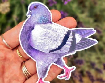 Könnte beinhalten: Ein gestanzter Aufkleber mit einer Illustration einer Taube in leuchtendem Violett und Hellgrau. Der Vogel ist im Profil dargestellt, mit detailliertem Gefieder, einem dunklen Flügelstreifen und leuchtend rosa Füßen. Der Rand ist weiß.