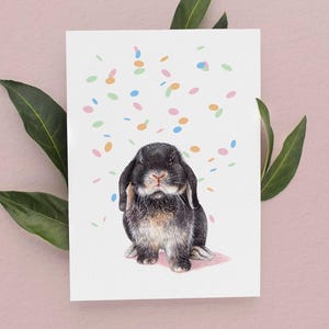 Carte Mini Lop, Carte de charité, Mini Lop Black Otter, Carte d'anniversaire de lapin, Cartes de lapin, Carte Lop Holland