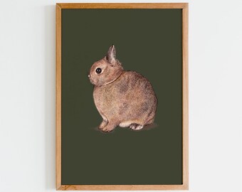 Rabbit Print, Rabbit Art Print, Rabbit Illustration, Netherland Dwarf Print