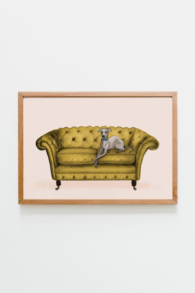May include: A framed illustration of a grey Italian Greyhound dog wearing a blue bow tie, lounging on a yellow tufted sofa.
