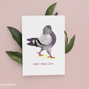 Carte d'anniversaire pigeon, cartes drôles, cartes d'anniversaire