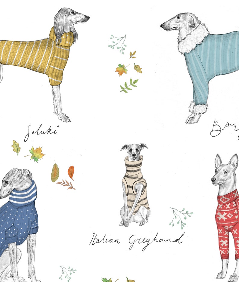 Sighthounds in Sweaters Print, Italian Greyhound Art, Borzoi Art, Saluki Art Print, Sighthound Print, Whippet Art Print, Dogs in Jumpers image 2