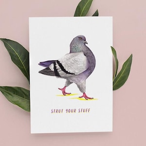 Carte d'anniversaire pigeon, cartes drôles, cartes d'anniversaire