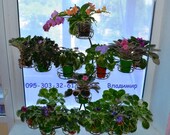 Indoor plant stand Tall plant stand Indoor planter Multi tier pot stand Stand for flowers quot Violet on 24 flowerpots quot