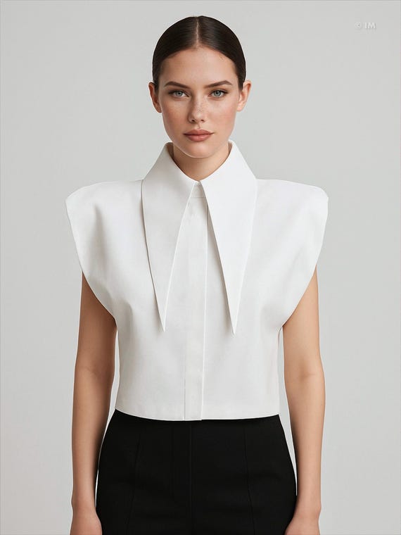 Large Pointy Collar Stylish Crop Top