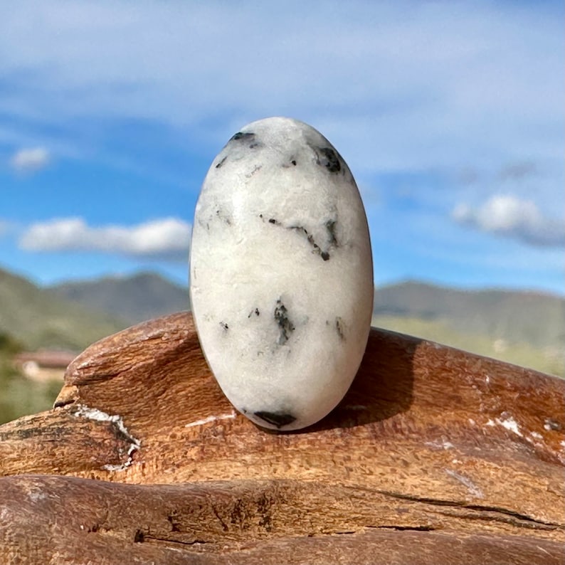 Oval White Buffalo cabochon on a piece of wood with the Arizona desert and sky in the background. The gemstone is mostly white dolomite with streaks and splashes of the black chert.