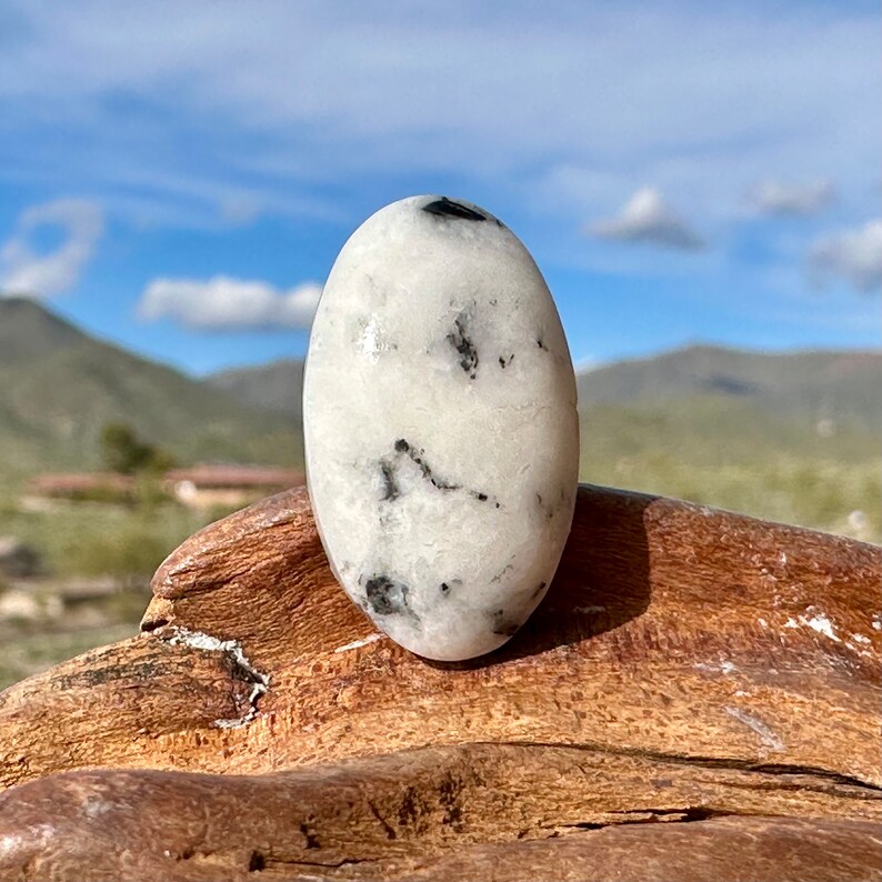 White Buffalo Cabochon, 24.8 x 14.9 mm Nevada Black and White Gemstone, Oval Cabochon Stones for Jewelry Making, 18.8 carats image 2