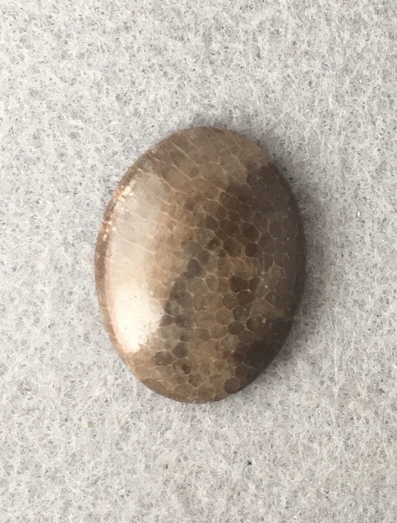 Polished Specimen 43.3 carats Oval Cabochon Michigan Charlevoix Stone 33 x 25 mm
