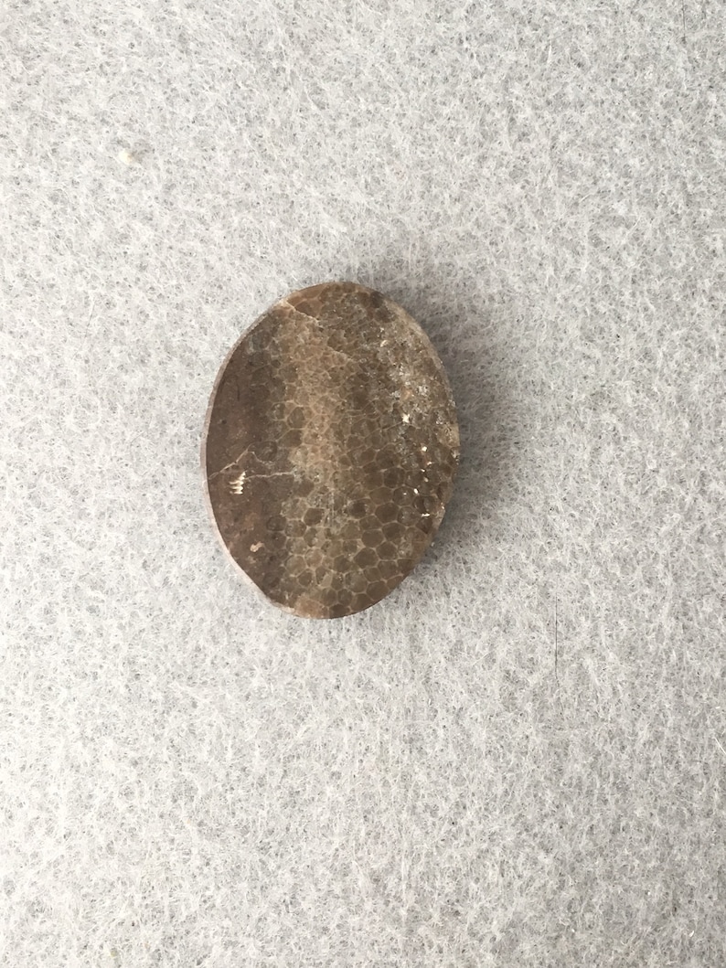 Polished Specimen 43.3 carats Oval Cabochon Michigan Charlevoix Stone 33 x 25 mm