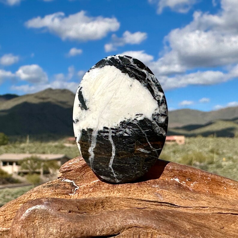 Large White Buffalo gemstone on a piece of wood with the Arizona desert and sky in the background. The gemstone is patterned in about 50% black and 50% white.