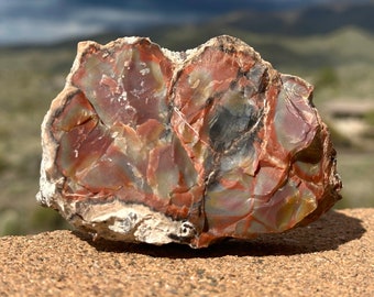 Raw Petrified Wood Specimen, Arizona Fossil, Rainbow Petrified Wood, Agatized Wood, 5th Anniversary Gift for Him, 465 grams (16.4 ounces)