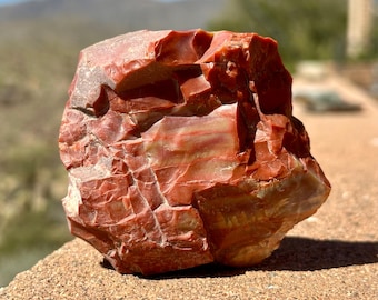 Raw Rainbow Petrified Wood, Arizona Wood Fossil Specimen, 224 grams (7.9 ounces)