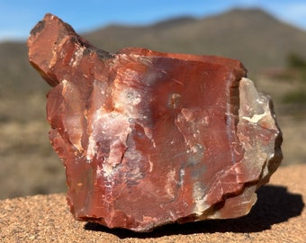 Raw Petrified Wood Specimen, Arizona Fossil, Rainbow Petrified Wood, Agatized Wood, 5th Anniversary Gift for Him, 440 grams (15.5 ounces)