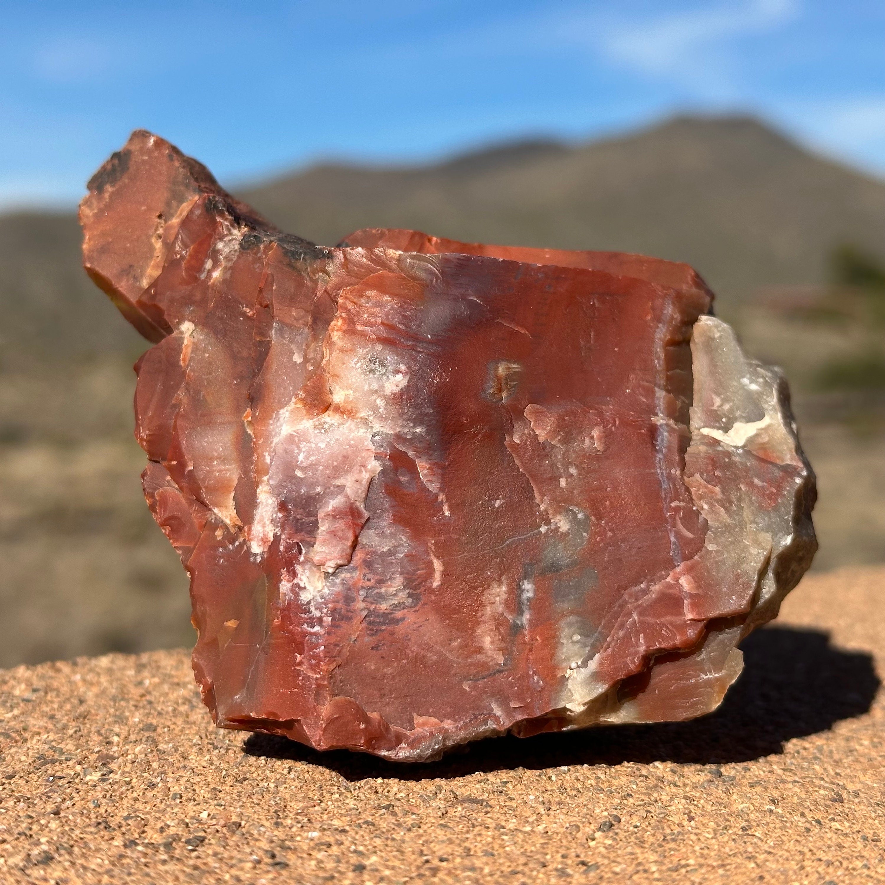 Raw Rainbow Petrified Wood Specimen: Agatized Arizona Fossil, 440