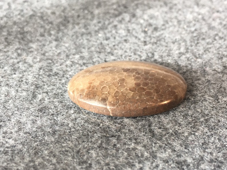Polished Specimen 43.3 carats Oval Cabochon Michigan Charlevoix Stone 33 x 25 mm