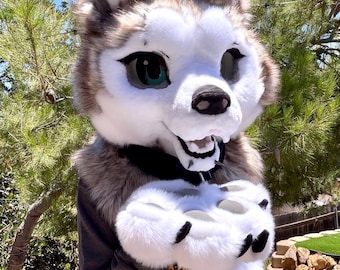 Punky Malamute Partial