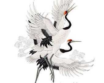 Patch Applique, Dessin Transfert thermocollant, Couple oiseaux Grue Cigogne, Blanc ** 19 x 22 cm ** sérigraphie à repasser - T945