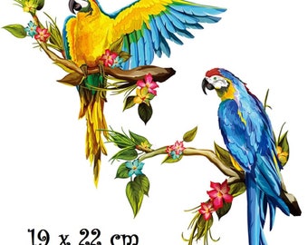 Patch Applique, Dessin Transfert thermocollant, Couple oiseaux perroquet sur Branche d'arbre, 19 x 22 cm, sérigraphie à repasser - T990