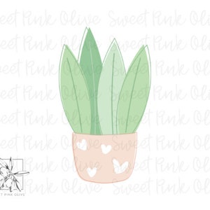 May include: A green potted plant with white hearts on the pot. The plant has long, thin leaves.