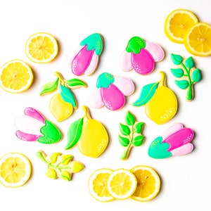 Lemon Cookie Cutters, Flower Buds and Leaves Cookie Cutters, Fondant and playdoh cutters too! Build your own set